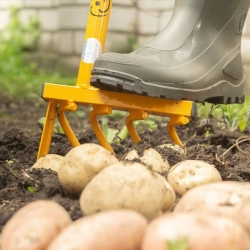 stabil-agro-kultivator-kartofi-tornadica-potato-digger