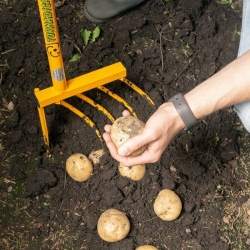 stabil-agro-kultivator-kartofi-tornadica-potato-digger
