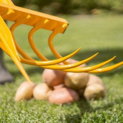 stabil-agro-kultivator-kartofi-tornadica-potato-digger