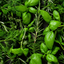stabil-agro-semena-vilmorin-podpravki-miks