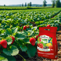 stabil-agro-granuliran-tor-raselina-yagodi-drebni-plodove-3-kg