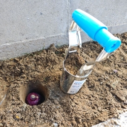 stabil-agro-instrument-za-zasazhdene-na-lukovici-ili-razsteniya-v-chimove-aquacraft