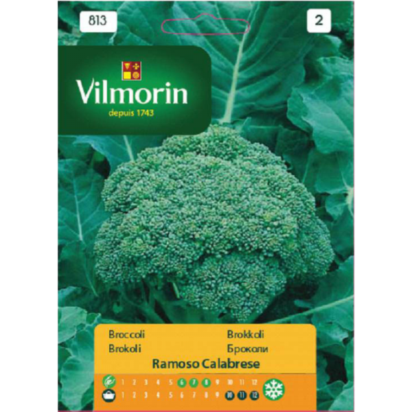 stabil-agro-semena-vilmorin-brokoli-calabrese-natalino