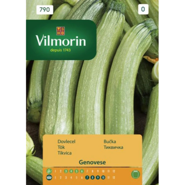 stabil-agro-semena-vilmorin-tikvichki